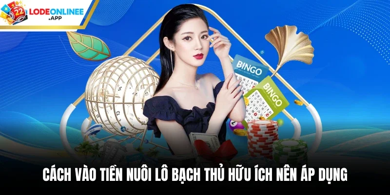 Cách vào tiền nuôi lô bạch thủ