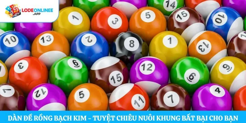 dàn đề rồng bạch kim
