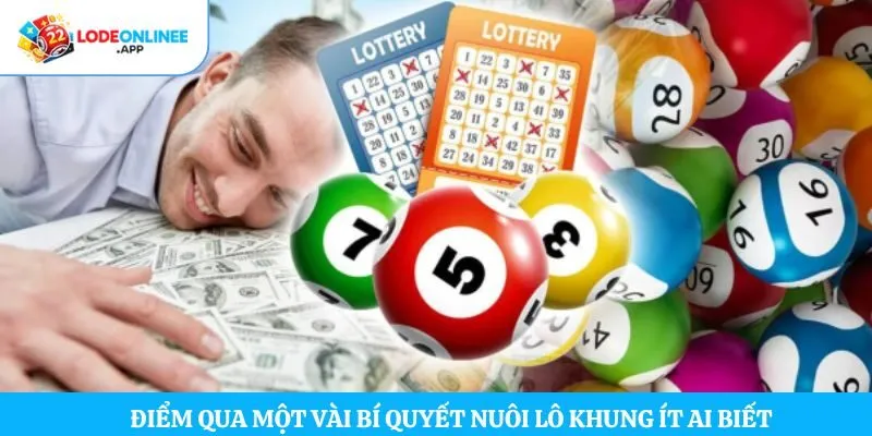 Điểm qua một vài bí quyết nuôi lô khung ít ai biết