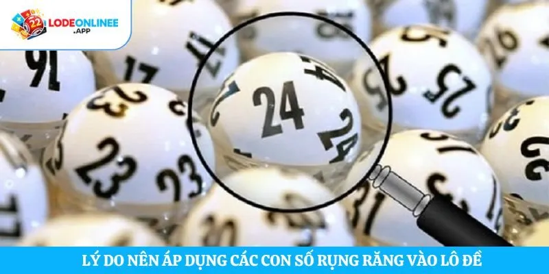 Lý do nên áp dụng các con số rụng răng vào lô đề