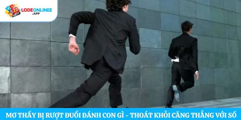 Mơ thấy bị rượt đuổi đánh con gì