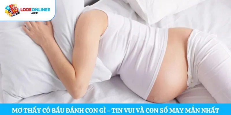 Mơ thấy có bầu đánh con gì
