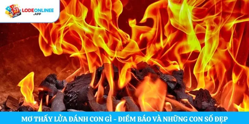 Mơ thấy lửa đánh con gì