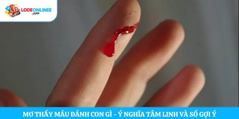 Mơ thấy máu đánh con gì