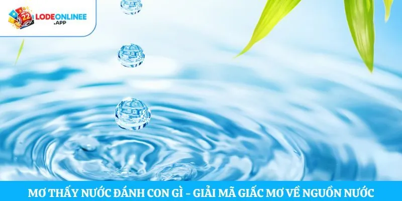 Mơ thấy nước đánh con gì